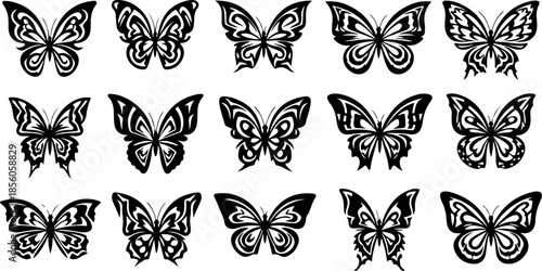 Monochrome Butterfly Species Collection