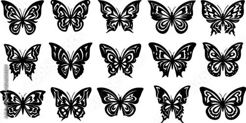 Fototapeta Monochrome Butterfly Species Collection