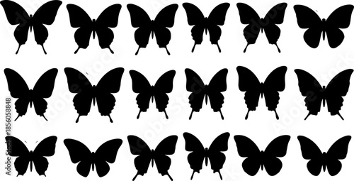 Monochrome Butterfly Species Collection