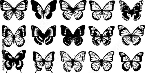 Monochrome Butterfly Species Collection