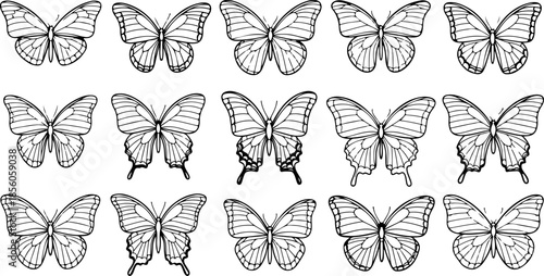 Monochrome Butterfly Species Collection