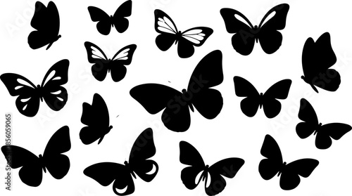 Monochrome Butterfly Species Collection