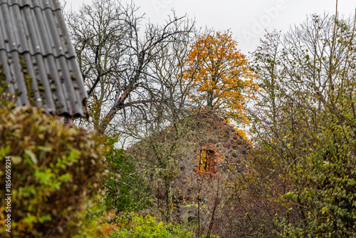 Old Stone Wall Ruins in Autumn Forest