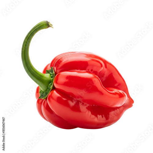 Red habanero pepper isolated on transparent background