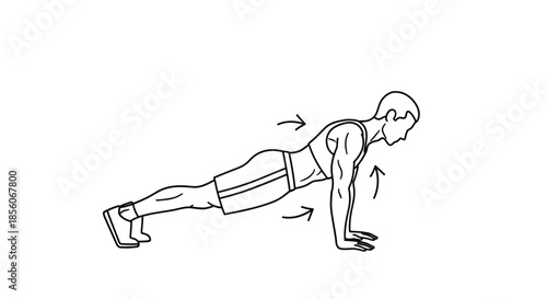Instructional line drawing of a person performing a standard push up exercise with arrows indicating the movement path.