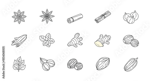 Set of black and white line art illustrations depicting various culinary spices and herbs like ginger, cinnamon, and star anise.