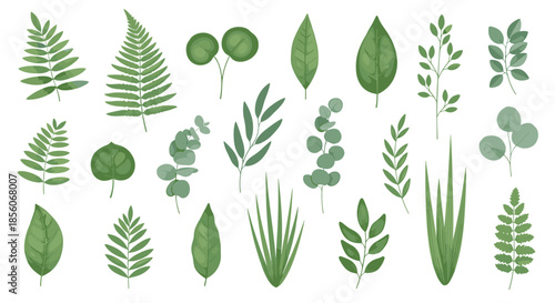 Comprehensive collection of different green botanical leaves, ferns, and plant sprigs for nature and organic theme graphic decorations.