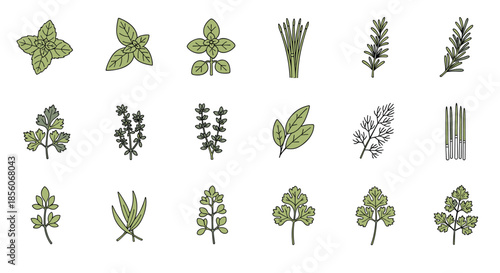 Extensive collection of fresh culinary herbs including mint, basil, rosemary, thyme, and parsley for cooking and health themed designs.