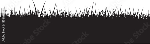 Silhouette of grass
