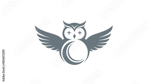 Stylized Owl Illustration with Outstretched Wings.