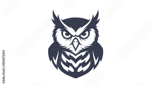 Stylized Owl Illustration with Sharp Eyes.