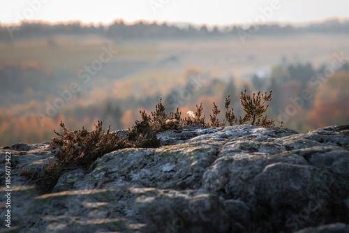 Sunny landscape of the Table Mountains with a view of vast meadows, forests and distant mountain ranges. Calm nature, clear sky and open space invite reflection, mindfulness and deep relaxation.