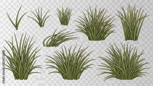 Nine green grass clumps in various sizes and styles on transparent background for design
