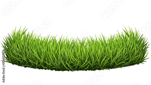 Green grass clump isolated on white background, lush foliage, vibrant lawn, fresh turf, decorative grass