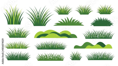 Collection of various green grass and foliage illustrations on white background