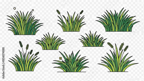 Collection of various green grass clipart illustrations with flowers and seeds on transparent background