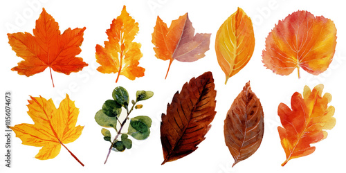 A collection of nine beautifully illustrated autumn leaves in various shades of orange, yellow, and brown, showcasing the rich colors and textures of fall foliage.