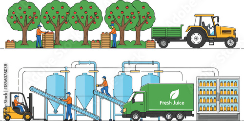Fruit harvesting and juice production vector illustration with orchard picking, processing factory, bottling line, and delivery truck for agriculture and food industry concepts