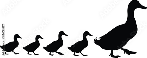 Mother duck leading her ducklings in a line