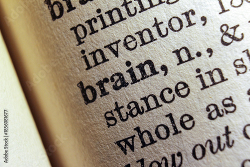 Word brain printed on dictionary page