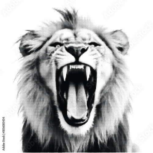 Fierce lion roaring loudly with open mouth and sharp teeth