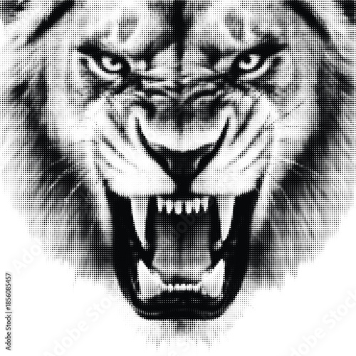 Fierce lion's intense face with open mouth and sharp teeth