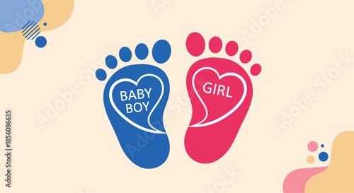 Gender reveal concept illustration with blue and pink baby footprints, containing 'Baby Boy' and 'Baby Girl' text in hearts on a pastel background.