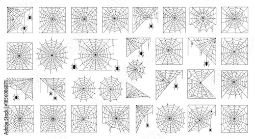 Intricate collection of various spider webs, including corner webs and full webs with spiders, in a black and white line art style for Halloween.