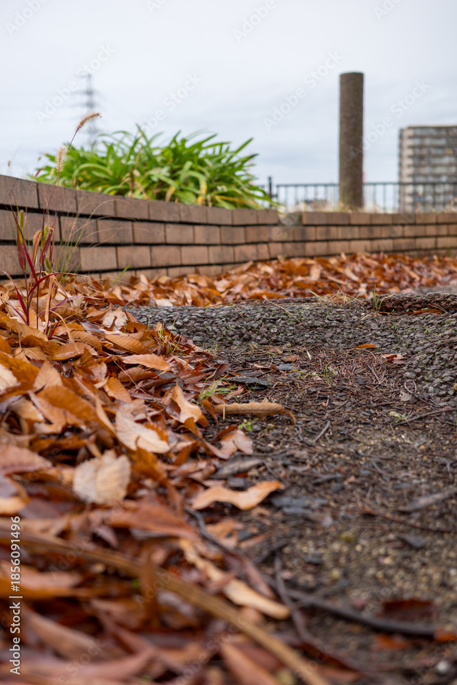 Obraz premium 乾いた落ち葉のクローズアップ 自然な背景写真