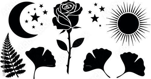 Moon rose sun fern ginkgo leaves star silhouette vector illustration black and white 