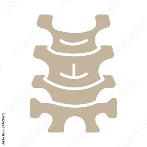 Spinal Column Icon