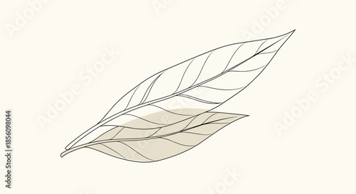 Simple black and white line art sketch shows two long leaves overlapping each other on a clean light beige background for decor.