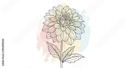 Beautiful dahlia flower hand-drawn line art placed over a vibrant background of colorful watercolor paint splashes.