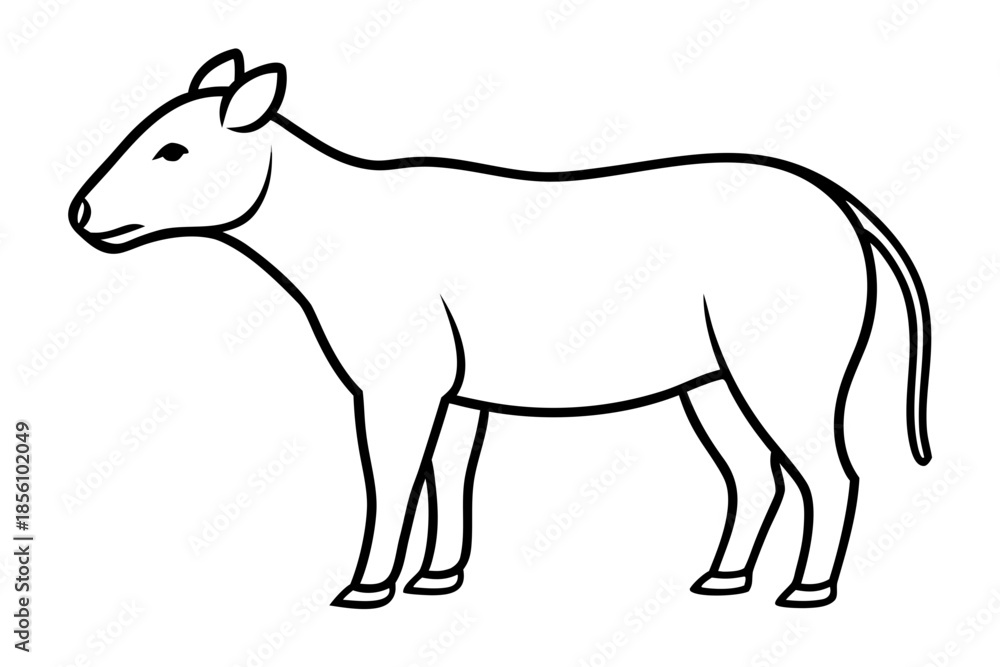 Fototapeta premium Geliceuill animal line art white background illustration