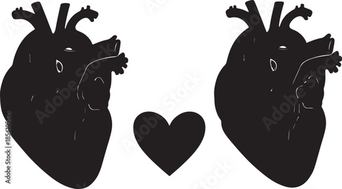 Two anatomical heart silhouettes flanking a small heart shape, symbolizing love, connection, and emotional relationships in a stark also transparent background