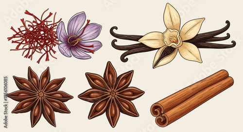 Illustration of saffron, vanilla, star anise, and cinnamon sticks on a beige background.