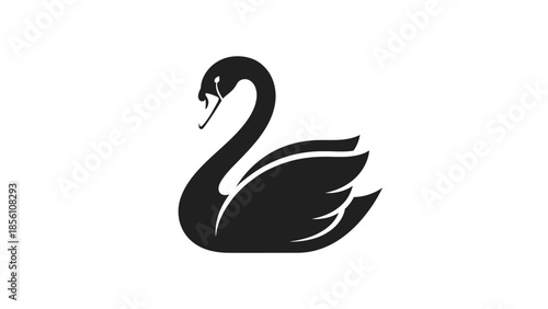 Black Swan Silhouette: A sleek, minimalist silhouette of a black swan, elegantly captured against a plain backdrop, evoking a sense of grace and poise.