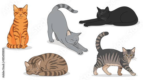 Modern vector illustration set of cats in various poses on white background, flat animal collection with solid colors, ideal for icons and pet designs