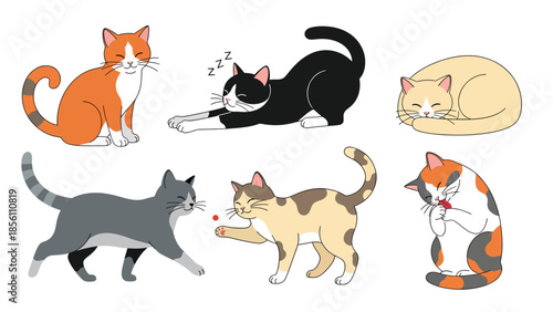 Modern vector illustration set of cats in various poses on white background, flat animal collection with solid colors, ideal for icons and pet designs