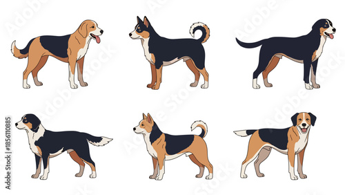 Modern vector illustration set of dogs in different poses on white background, flat pet collection with solid colors, ideal for pet icons and branding