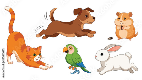 Modern vector illustration collection of pets cat, dog, rabbit, parrot, hamster, in playful poses on white background, flat pet animal set with solid colors, ideal for icons