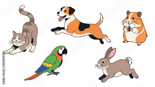 Modern vector illustration collection of pets cat, dog, rabbit, parrot, hamster, in playful poses on white background, flat pet animal set with solid colors, ideal for icons