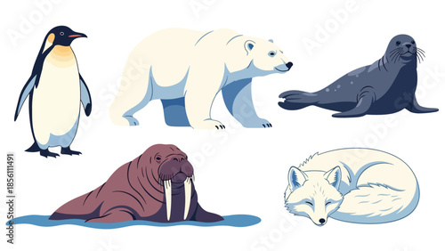 Modern vector illustration set of polar animals penguin, polar bear, seal, walrus, arctic fox, in various poses on white background, flat arctic wildlife collection with solid colors