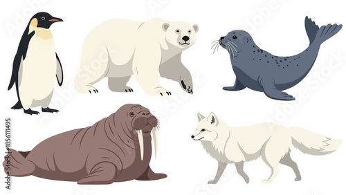 Modern vector illustration set of polar animals penguin, polar bear, seal, walrus, arctic fox, in various poses on white background, flat arctic wildlife collection with solid colors