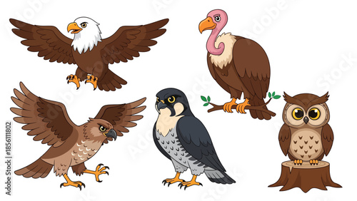 Modern vector illustration collection of birds of prey eagle, hawk, falcon, owl, venture, in flying and perching poses on white background, flat wildlife set with solid colors