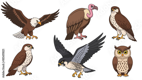 Modern vector illustration collection of birds of prey eagle, hawk, falcon, owl, venture, in flying and perching poses on white background, flat wildlife set with solid colors