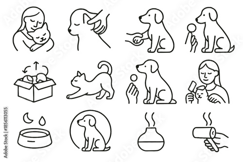 Brush pose box pet vector icons icon toy mindful massage clean refill