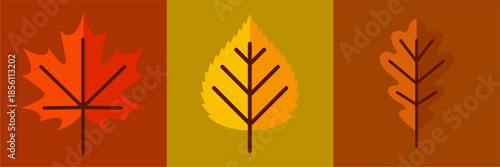 Graphic illustration of colorful autumn leaves in yellow, orange, and red tones, symbolizing seasonal change, fall nature, and vibrant foliage design.