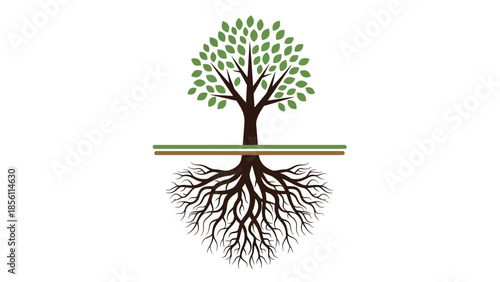 Tree with Visible Roots and Leaves.