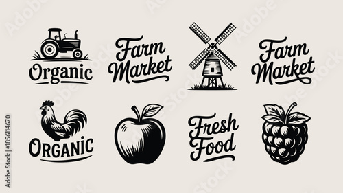 A minimalist representation indicating the presence or availability of a vector graphic file